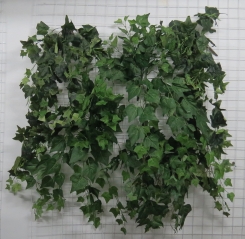 008 Veštaćke lozice